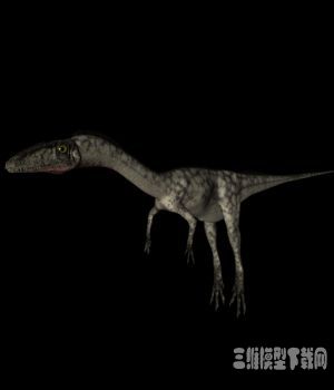 恐龙3D模型：腔骨龙（Coelophysis） - C4D之家 - 20121008115627316.jpg