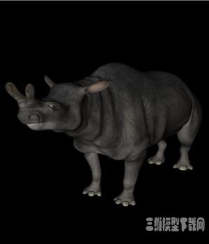 王雷兽3D模型（Brontotherium） - C4D之家 - 20121008114322307.jpg