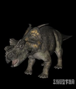 恐龙3D模型：河神龙(Achelousaurus) - C4D之家 - 20121008103412120.jpg