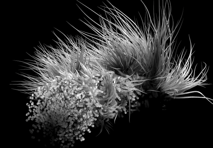 C4D梦幻动画源文件下载（毛发/粒子） - C4D之家 - Snip20130901_18.png