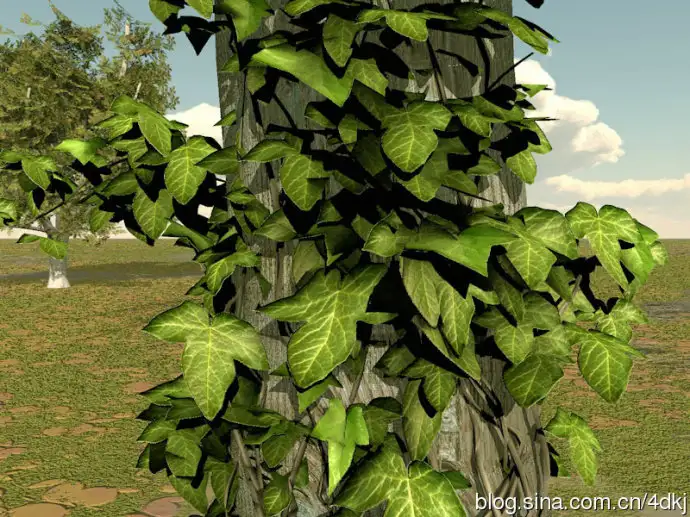 C4D常春藤种植插件 Ivy Grower 1.2