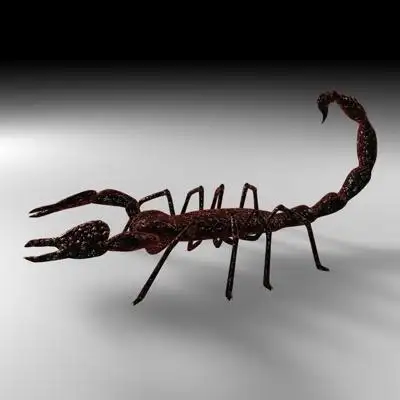 蝎子3D模型 SCORPION