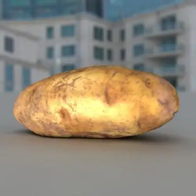 土豆3D模型 POTATO (3D SCANNER)