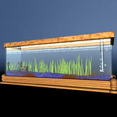 鱼缸3D模型 FISH AQUARIUM