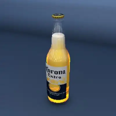 啤酒瓶3D模型 BEER BOTTLE - C4D之家 - pictures.jpeg