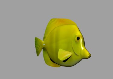 热带鱼3D模型 Poisson jaune - Yellow fish