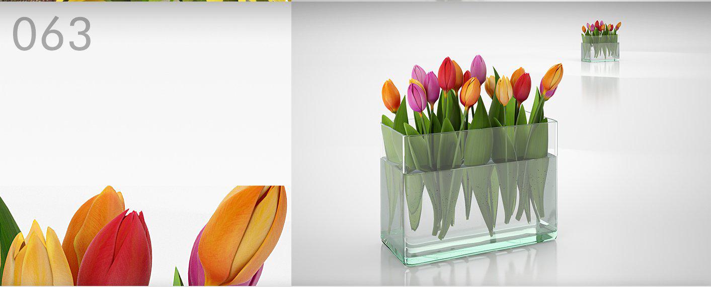 室内装饰花瓶：郁金香C4D模型 Tulip 3D model - C4D之家 - 063.jpg