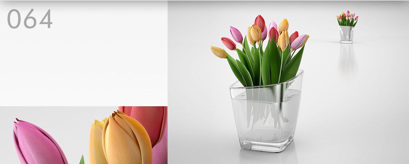 室内装饰花瓶：郁金香C4D模型 Tulip 3D model - C4D之家 - 064.jpg
