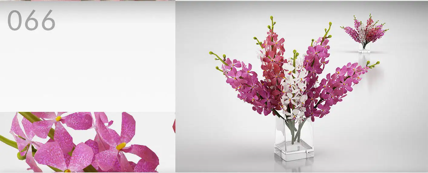 室内装饰花卉花瓶：兰花、蝴蝶兰C4D模型 Orchid flower 3D model - C4D之家 - 066.jpg