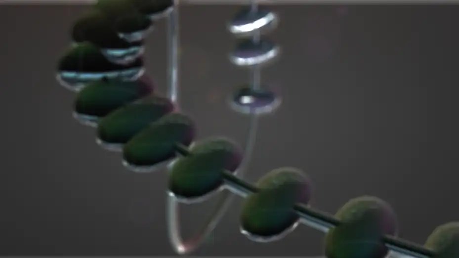 c4d栏包工程文件 disc parade - C4D之家 - Snip20131031_20.png