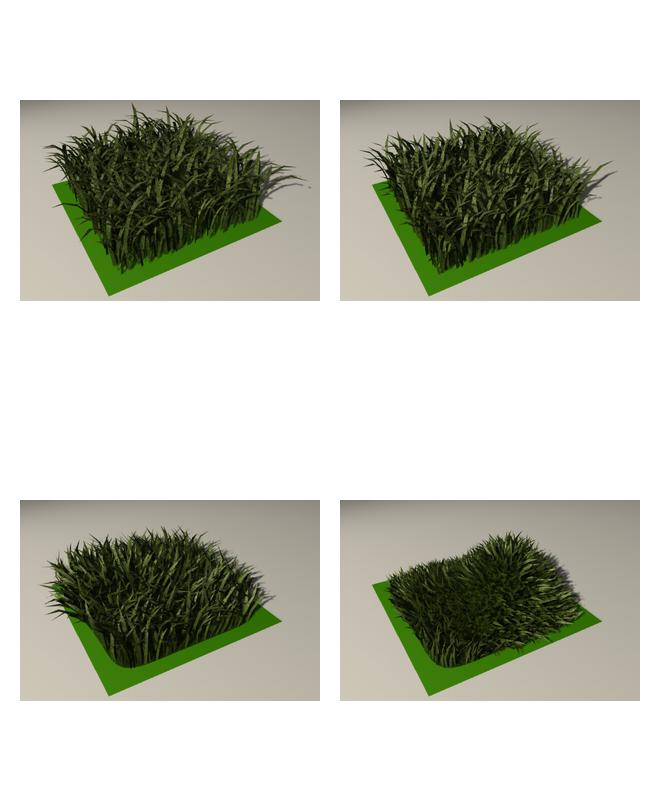 绿草、草坪C4D模型 Grass, lawn 3D model - C4D之家 - DGD2-10.jpg