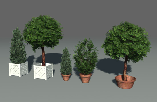 景观树 盆景树C4D模型 TreesIn Box - C4D之家 - DGD2-16.jpg