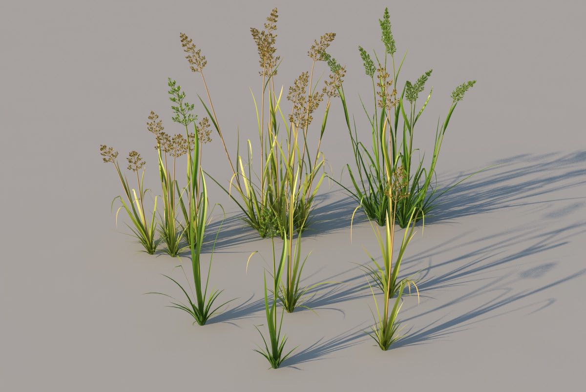 荒草C4D模型 bent 3d model - C4D之家 - bent.jpg