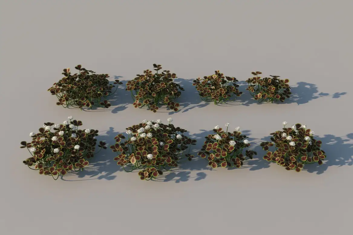 花草植物C4D模型 bronze clover 3dmodel - C4D之家 - bronze-clover.jpg