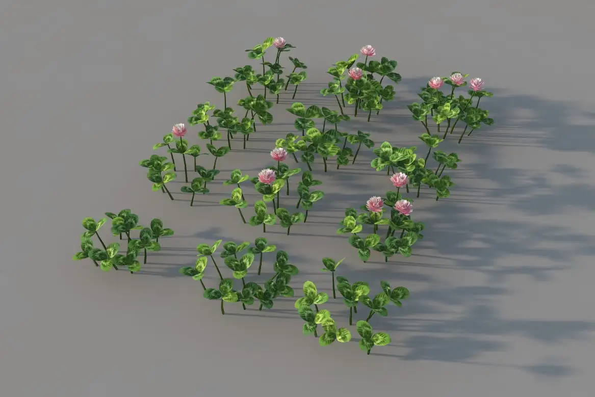 花草植物：三叶草C4D模型 clover 3dmodel - C4D之家 - clover.jpg