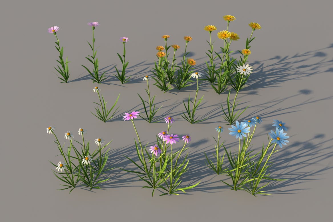 菊花C4D模型：黄菊花、白菊花、粉菊花、蓝菊花 - C4D之家 - common-flower.jpg