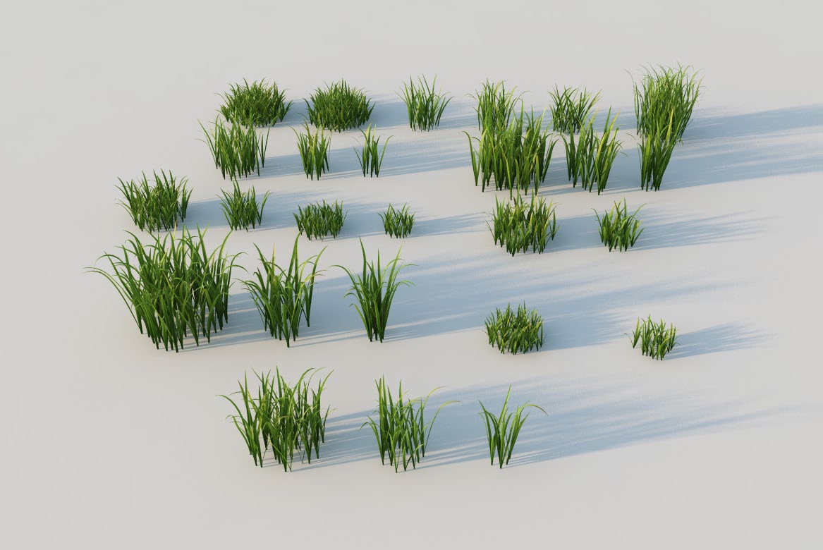 绿草、青草、嫩草C4D模型 wild-grass - C4D之家 - wild-grass.jpg