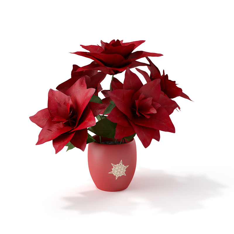 圣诞节装饰物品：红花盆景C4D模型 Christmas flower 3D model - C4D之家 - RENDERS 21.jpg