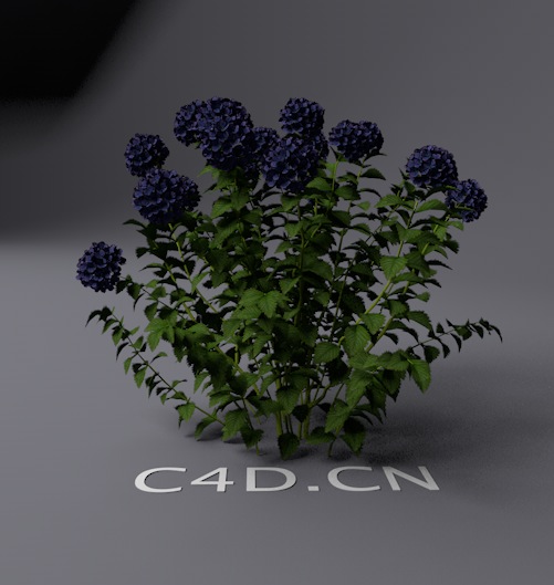 景观花草模型：蓝色花C4D模型 Landscape plants model - C4D之家 - cinema4d_ 2013-12-13 下午3.24.43.jpg
