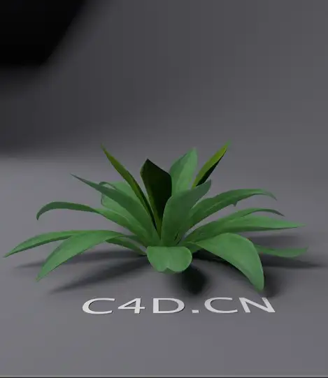 大叶植物C4D模型 Large leaf plants 3D model - C4D之家 - cinema4d_ 2013-12-13 下午5.06.08.jpg