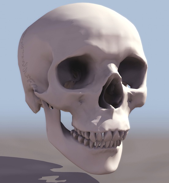 头骨、骷髅头3D模型 - C4D之家 - cinema4d_ 2013-12-26 下午10.56.16.jpg