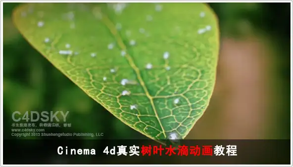 Cinema 4d真实树叶水滴动画教程