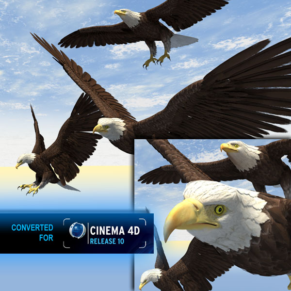 飞翔的老鹰3D模型（OBJ/C4D/3DS）Eagle - C4D之家 - adlershow.jpg