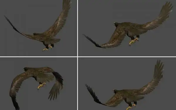 展翅翱翔的雄鹰3D模型 eagle - C4D之家 - 1319987180_680.jpg