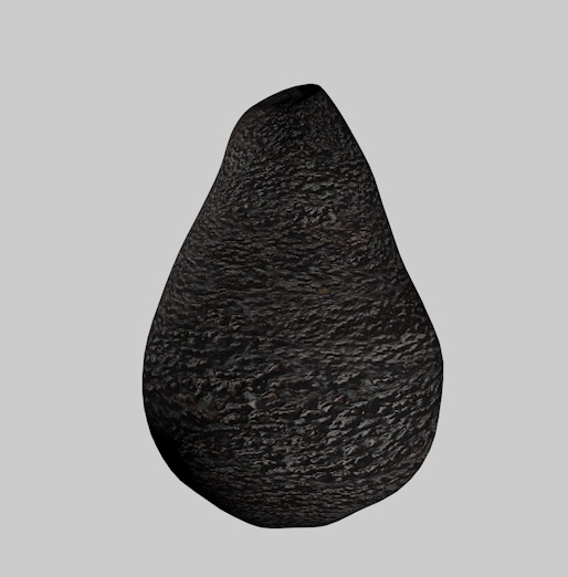 鳄梨3D模型 Avocado 3D model