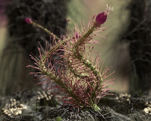 一组Navié Plants & Effex for c4d的作品欣赏 - C4D之家 - cinema4d_ 2014-01-13 下午11.55.01.jpg