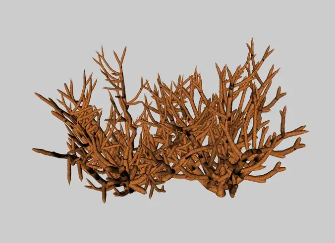 海底生物模型：棕色珊瑚C4D模型（附材质） - C4D之家 - cinema4d_ 2014-01-15 下午8.54.10.jpg