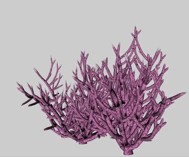 紫珊瑚C4D模型 Purple coral 3d model - C4D之家 - cinema4d_ 2014-01-15 下午9.32.40.jpg