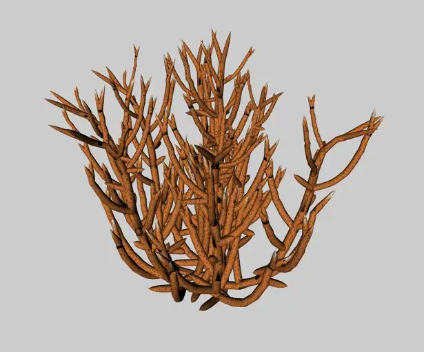 黄珊瑚C4D模型 Yellow coral 3d model - C4D之家 - cinema4d_ 2014-01-15 下午11.07.26.jpg