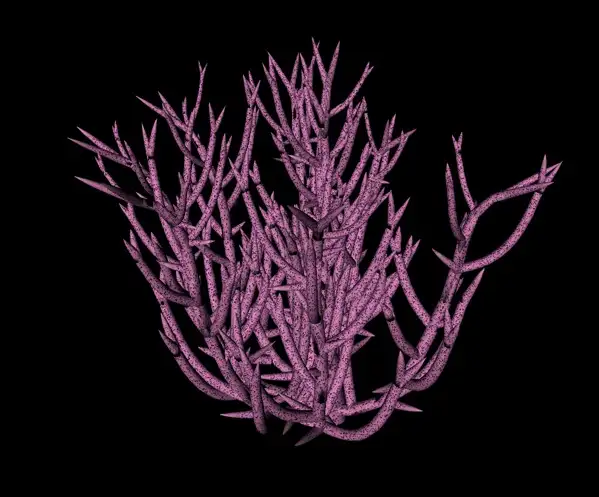 海底紫珊瑚C4D模型 Purple coral - C4D之家 - cinema4d_ 2014-01-15 下午11.10.20.jpg
