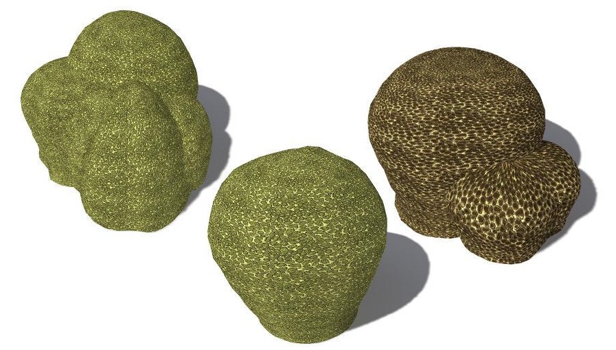 3款珊瑚石C4D模型 Favia favus Groved Mosaic Coral - C4D之家 - cinema4d_ 2014-01-15 下午11.30.51.jpg