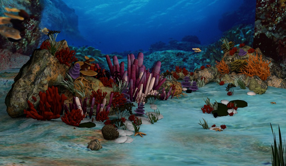 海底世界C4D模型（海藻、海葵、珊瑚、海星、海草） Underwater world
