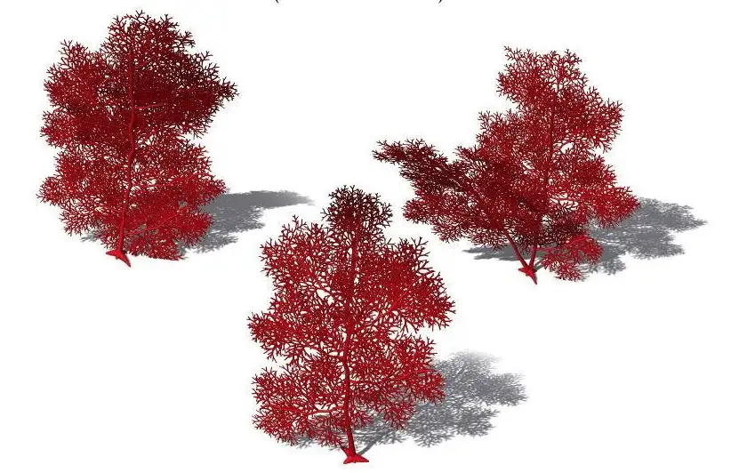 3款海洋植物：树巨海团扇C4D模型 Annella mollis Giant Sea Fan