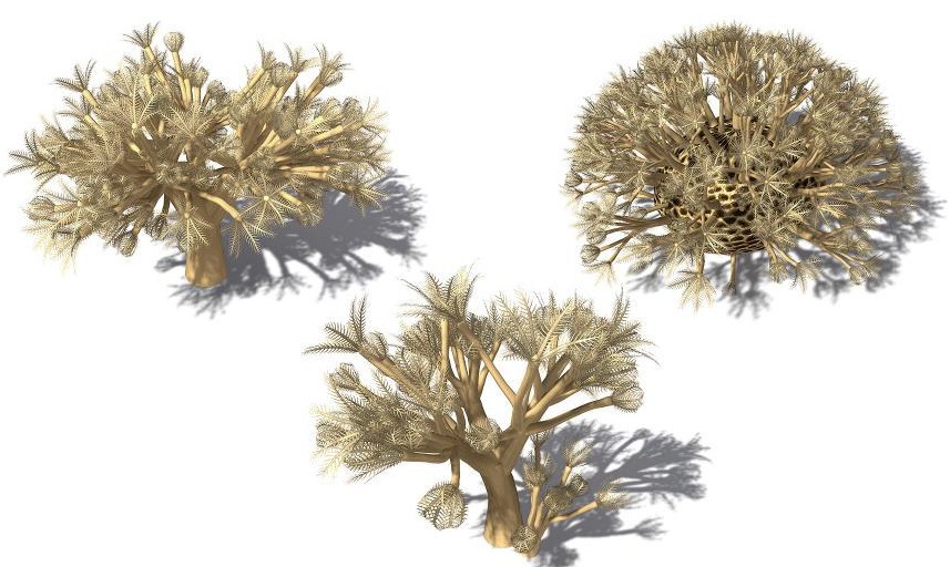 海底生物：3款海底珊瑚C4D模型 Xenia umbellata Pulsing Xenia