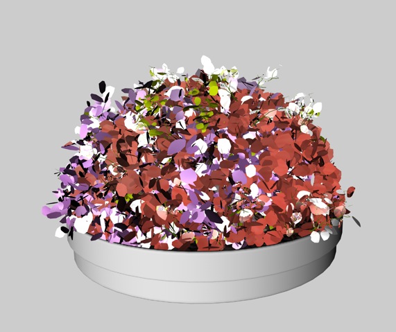 盆景花卉C4D模型 Bonsai flowers - C4D之家 - cinema4d_ 2014-01-17 上午12.25.24.jpg