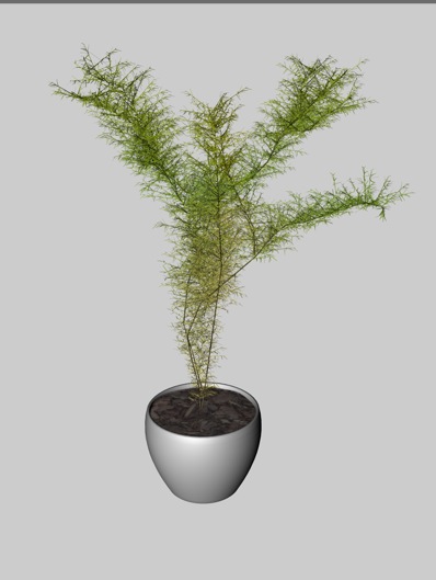 绿色盆景植物C4D模型 Green plants - C4D之家 - cinema4d_ 2014-01-17 上午12.28.27.jpg