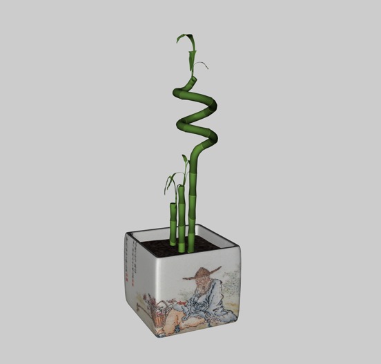 方花瓶富贵竹C4D模型 Dracaena sanderiana