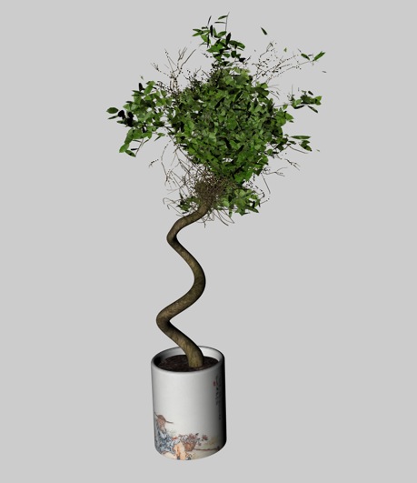 盆景植物C4D模型 Bonsai plants - C4D之家 - cinema4d_ 2014-01-17 上午12.44.59.jpg