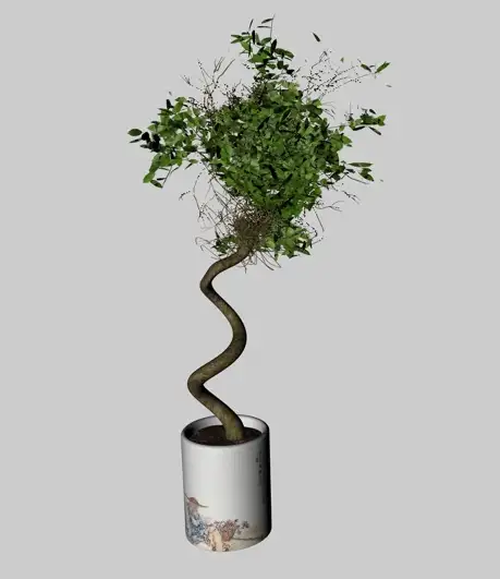 盆景植物C4D模型 Bonsai plants - C4D之家 - cinema4d_ 2014-01-17 上午12.44.59.jpg
