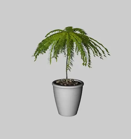 绿叶植物盆景C4D模型 Green plants