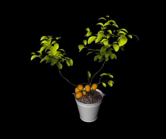 观赏果树盆景C4D模型 Fruit bowl - C4D之家 - cinema4d_ 2014-01-17 上午1.25.47.jpg