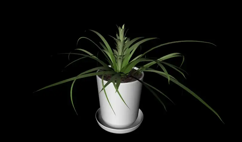 绿色植物盆景C4D模型 Bonsai plants 012927 - C4D之家 - cinema4d_ 2014-01-17 上午1.28.07.jpg