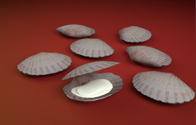 贝壳（扇贝 河蚌）C4D模型 Shell