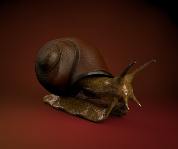 蜗牛C4D模型 Snail