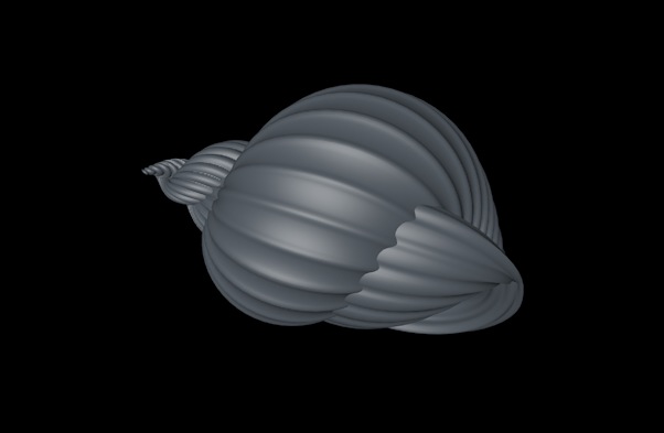 田螺C4D模型 snail - C4D之家 - cinema4d_ 2014-01-17 下午1.38.35.jpg