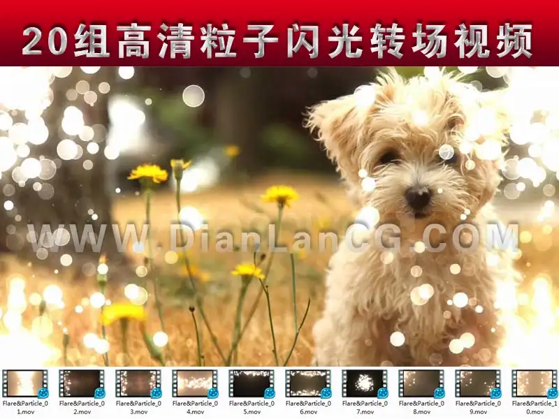 20组高清粒子闪光转场视频(附预览视频)